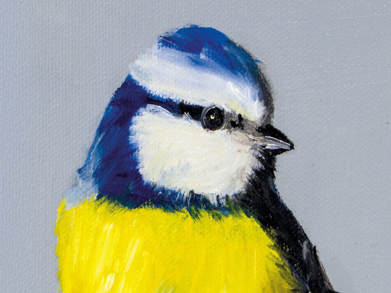 Blaumeise