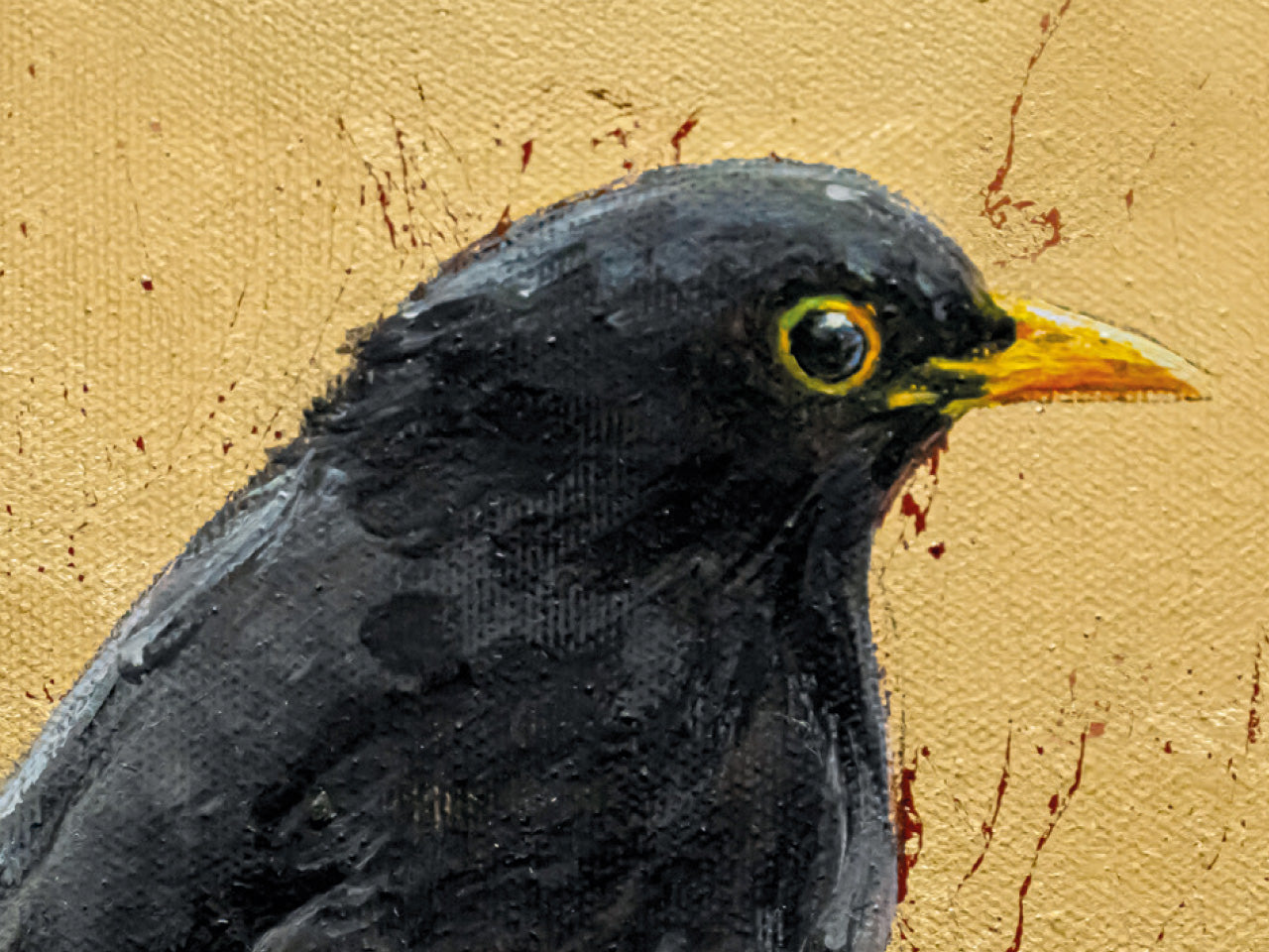 Amsel auf Gold