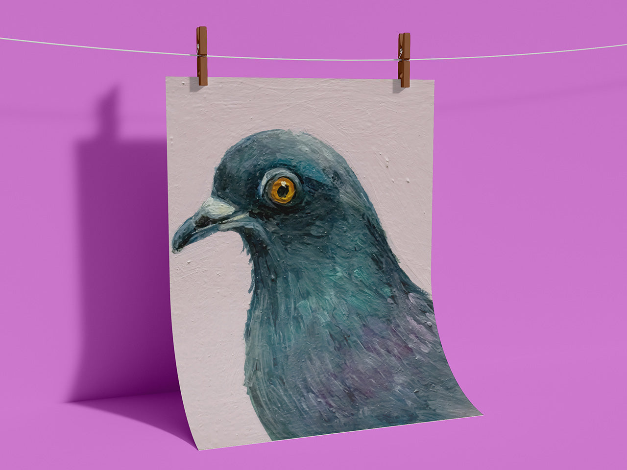 Taube auf Rosa