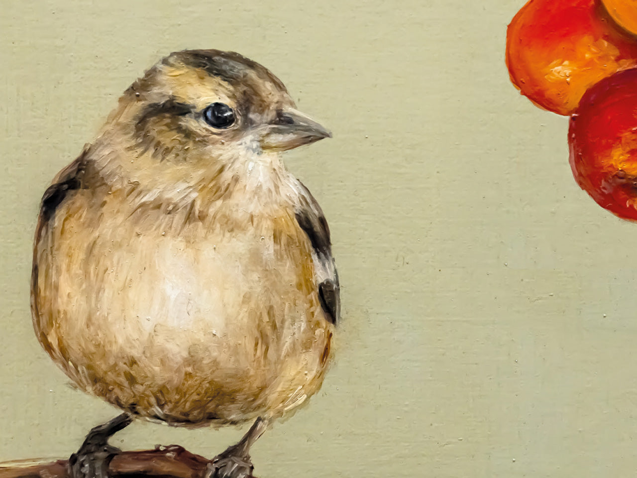 Spatz auf Zweig