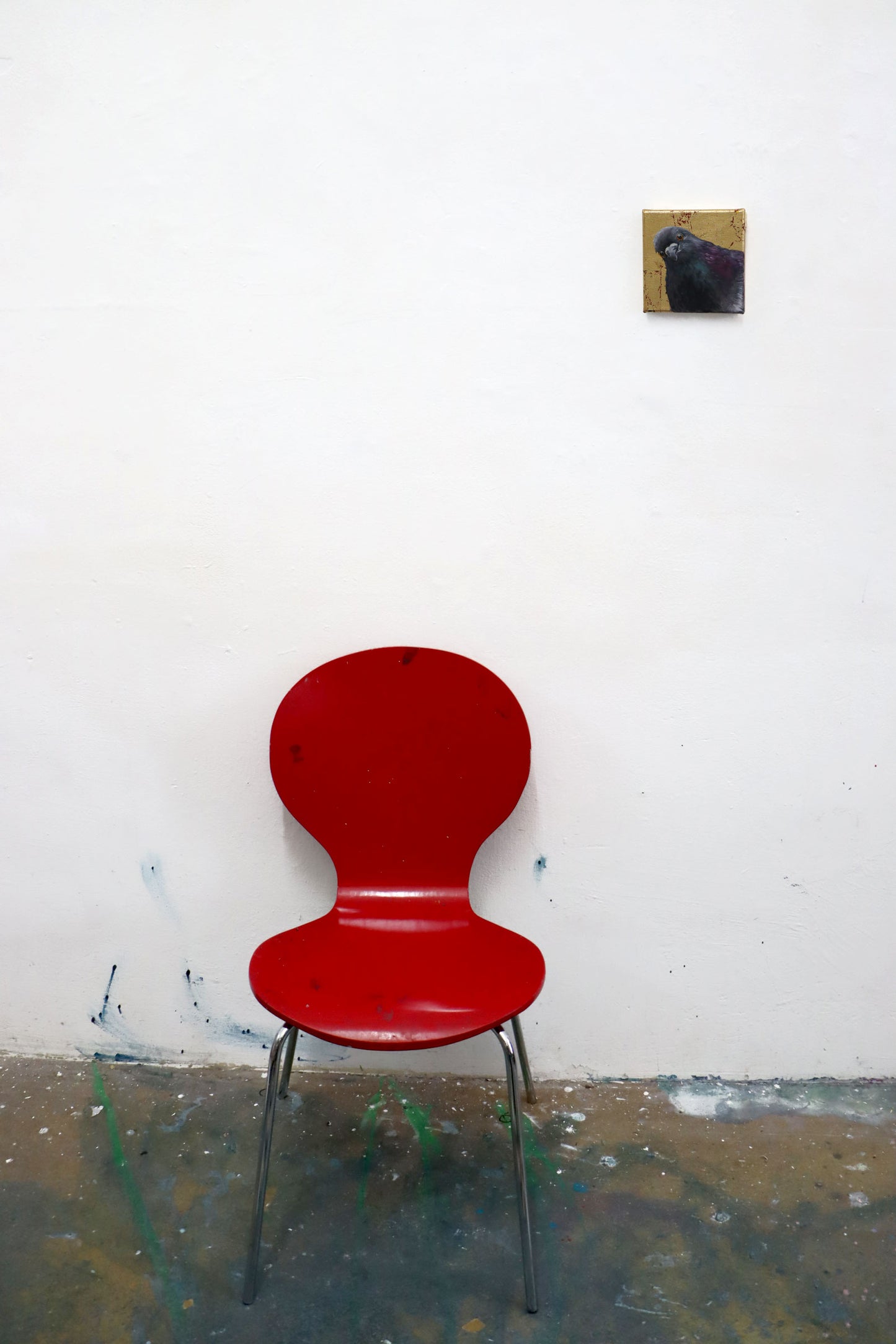 Stadttaube, Ölgemälde auf Leinwand